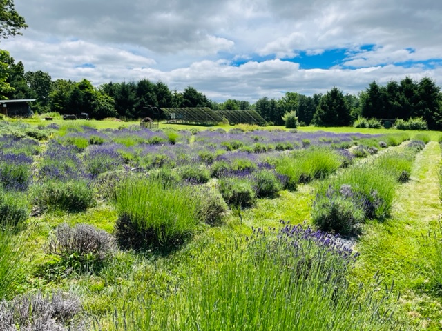 Hunterdon Hunterdon County Tourism | Adventurous Hunterdon NJ, USA